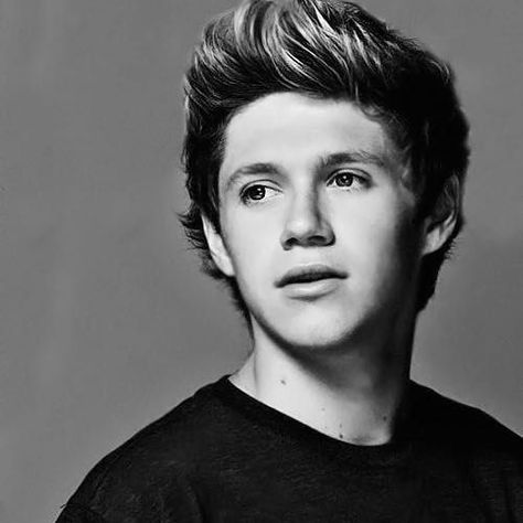 1d Quotes, One Direction Niall, Irish Princess, Liam James, Irish Boys, James Horan, I Love One Direction, 1 Direction, Chapter 1