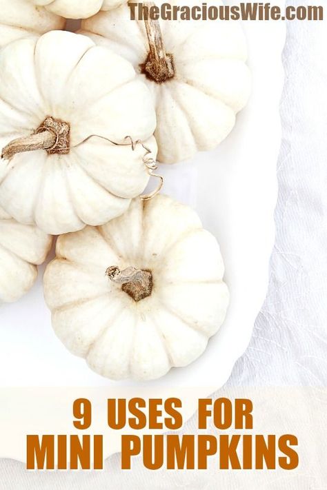 9 Uses for Mini Pumpkins - Pumpkins are everybody's favorite! They just scream Fall! Check out these 9 Uses for Mini Pumpkins to squeeze even more pumpkin into your life while the season lasts! Love decorating for Fall and mini pumpkins are so fun! Love these ideas Mini Pumpkins Decor, Cheap Halloween Diy, Mini Boo, Halloween Themed Food, Autumn Leaves Craft, Pumpkin Dip, Fall Pumpkin Crafts, Pumpkin Pudding, Fake Pumpkins