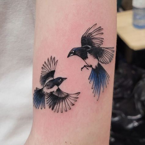 Dynamic inked energy in @thistlekae's tattoo, featuring two magpies flapping their wings. A captivating moment frozen in time, beautifully rendered in ink. 🖤🐦⁠ Black Billed Magpie Tattoo, Korean Magpie Tattoo, Two Magpies Tattoo, Magpies Tattoo, Tragus Tattoo, Two Magpies, Magpie Tattoo, Illustrative Tattoos, Neo Traditional Tattoos