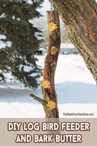 DIY Bark Butter & Log Feeder for Birds Homemade Bark, Woodpecker Feeder, Bird Feeder Station, Bird Suet, Wild Birds Unlimited, Suet Cakes, Feeding Birds, Wooden Bird Feeders, Suet Feeder