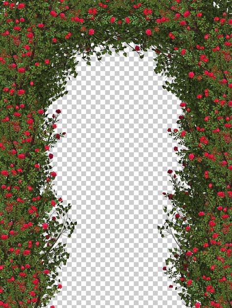 Bushes Png, Folder Graphic Design, Red Rose Png, Rose Shrub, Cartoon Wedding Invitations, Wedding Illustration Card, Clip Art Silhouette, Flower Png Images, Wedding Card Frames