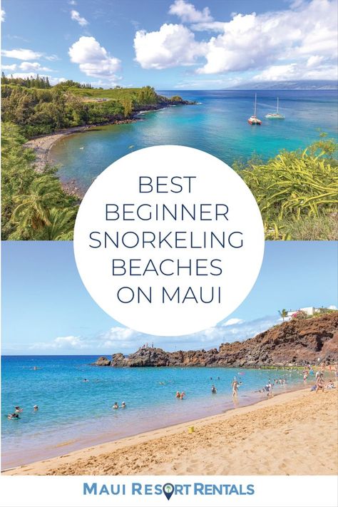 Snorkeling In Hawaii, Best Maui Resorts, Best Snorkeling In Oahu, Maui Beaches, Maui Travel Guide, Things To Experience, Maui Snorkeling, Hawaii Trip Planning, Four Seasons Resort Maui At Wailea