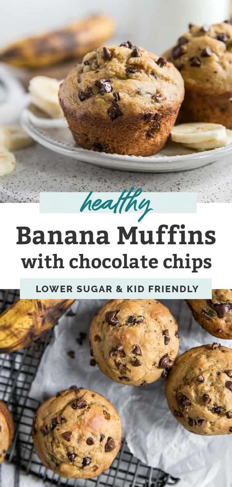 Banana Chocolate Chip Muffins With Yogurt, Oil Free Banana Muffins, Oatmeal Banana Yogurt Muffins, Banana Chocolate Chip Muffins With Greek Yogurt, Healthy Banana Choc Chip Muffins, Banana Chocolate Chip Muffins Healthy Greek Yogurt, Healthy Banana Muffins With Greek Yogurt Easy Recipes, Oatmeal Banana Chocolate Chip Muffins Greek Yogurt, Banana Muffins With Yogurt Recipe