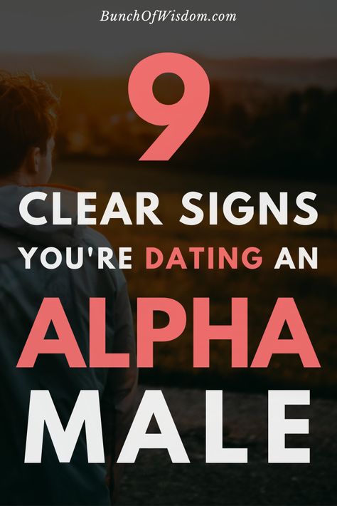 Here are the signs and traits to look for to know if you’re  dating an alpha man    #love #relationship  #relationshipgoals #alpha #alphamale #alphaman  #alphatraits #movingon  #marriage #dating #guide #tips  #signs #advice Alpha Male Quotes, Alpha Male Traits, Alpha Quote, Alpha Man, Dating Guide, Flirting With Men, Best Relationship Advice, Alpha Female, Masculine Men