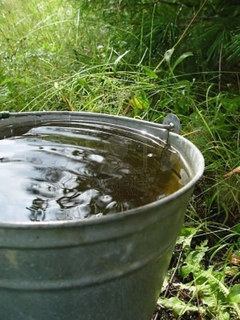 Rainy Countryside, Allotment Inspiration, Country Pics, Country Photos, Prairie House, Bucket Filling, Saving Water, Goat Farm, Water Bucket