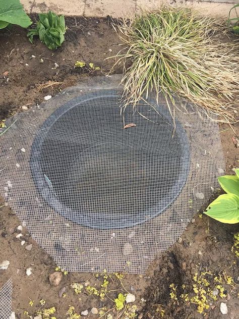 In just one afternoon, you can build this easy and super cool pondless water fountain. What’s so interesting about this is that the basin is “invisible” so it looks like water from the fountain is just seeping into the ground. Detailed instructions can be found on my blog at http://www.prettypurpledoor.com/easy-diy-water-feature/ Step by Step Video Steps to create this pondless fountain 1- Dig a hole to fit basin 2- Place basin in the hole 3- Assemble the pump 4- Cover pump with c… Stacked Stone Water Fountain, Garden Water Bowl Ideas, Stacked Stone Fountain, Raised Water Feature, How To Build A Fountain, Solar Power Fountain, Above Ground Water Feature, Bird Bath Water Fountains, Diy Water Fountain Easy Cheap