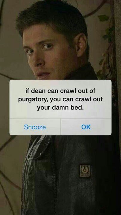 Sammy Supernatural, Supernatural Wallpaper, Sam Dean, Ange Demon, Supernatural Memes, Supernatural Fans, Supernatural Funny, Odaiba, Loki Marvel