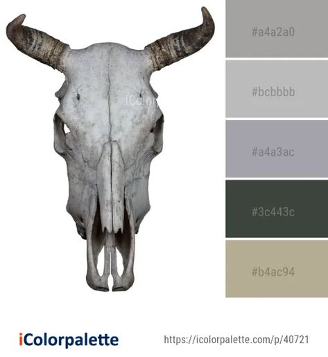 6 Skull Color Palette ideas in 2020 | iColorpalette Skeleton Color Palette, Bone Colour Palette, Bone Color Palette, Skull Color, Toys Design, Color Palette Ideas, Art Toys Design, Color Pallete, Palette Ideas