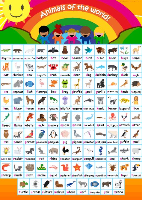 100 Animal flashcards + Animals Alphabet Poster + Animal Phonics! Animals Free Printable, Animals Flashcards For Kids, Flash Cards Of Alphabets, Animal Flash Cards Printable, Preschool Flashcards, Farm Animal Flashcards, Abc Flashcards Alphabet Flash Card, Animals Alphabet, Phonics Cards