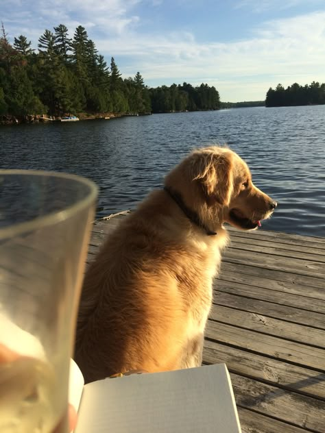 Muskoka Cottage Aesthetic, Lakehouse Aesthetic, Summer Lake Aesthetic, Lake Boating, Muskoka Chair, Lake Aesthetic, Summer Cabin, Lake Dock, Colorado Summer