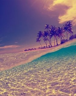 Summer Paradise, Wallpaper Tumblr, Paradise Island, Naha, Sunset Pictures, Jolie Photo, Sky And Clouds, Summer Dream, Beach Aesthetic