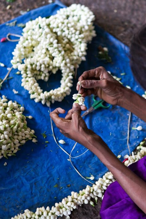 Jaipur Flower Market, Jasmine Bracelet, Jasmine Garland, Indian Garden, Jasmine Flowers, Indian Flowers, Jasmine Flower, Indian Woman, Flower Garland