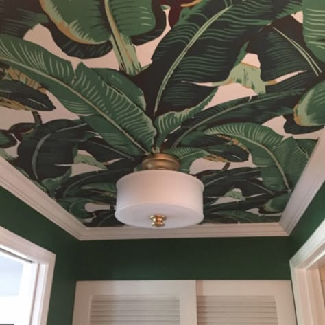 Most beautiful banana leaf removable wallpaper on this ceiling �🍌 Bathroom Jungle, Animal Bedroom, Wallpaper Ceiling, Jungle Wallpaper, Bathroom Wallpaper, Leaf Wallpaper, The Ceiling, Banana Leaf, Design Case