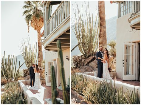 Sefton Palm House Wedding, Palm House Sefton Park Wedding, Palm Springs Downtown, Palm Springs Wedding Venues, Palm Springs Film, Palm Springs Wedding Photography, O’donnell House Palm Springs, Spring Wedding Photos, Photo Mood