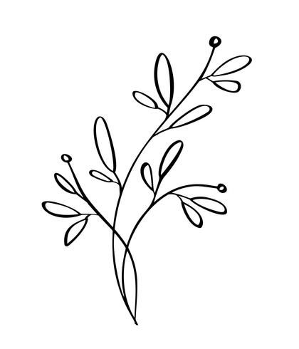 Line Art Svg, Floral Line Art, Flower Line Drawings, Flower Drawing Design, Flower Outline, Line Art Vector, Line Flower, Art Svg, Floral Drawing