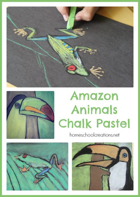 Amazon Animals Chalk Pastel Amazon Animals, Chalk Pastel Art, Art Project For Kids, Soft Pastel Art, Drawing Lessons For Kids, Chalk Pastel, 3rd Grade Art, Project For Kids, Cool Art Projects