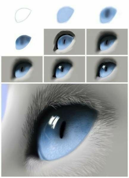 Cat Eye Tutorial, Digital Painting Techniques, Hair Drawing, Drawing Step, Drawing Faces, Digital Paintings, Eye Tutorial, Digital Painting Tutorials, Cat Eyes