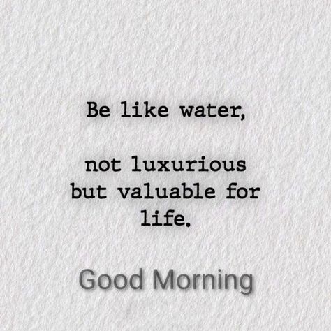 Healthy Motivation Quotes, Gm Images, Morning Wednesday, Sweet Morning, Good Morning Wednesday, Flowers Quotes, Morning Nature, Morning Quote, Good Morning Flowers Quotes