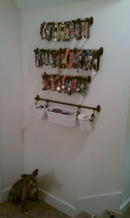 Wall mounted collar rack w/hanging potters for leashes, treats, & meds Dog Collar Organizer, Dog Collar Holder, Dog Collar Storage Ideas, Dog Collar Display Ideas, Dog Collar Organization, Dog Collar Storage, Dog Bandana Storage Ideas, Dog Bandana Storage, Dog Gear Wall