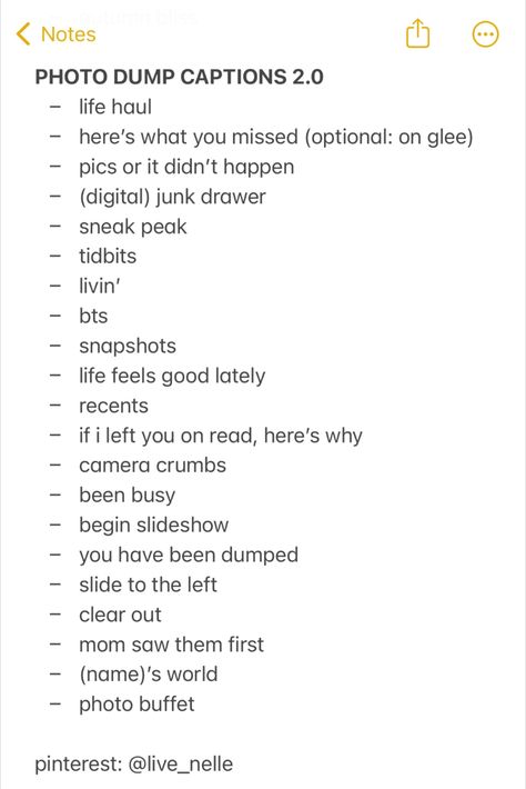 Instagram Captions About Yourself, Ig Captions For Memories, 2023 Insta Captions, 2023 End Captions For Instagram, If Caption, Previously On Caption, November Dump Captions For Instagram, Caption For Memory Pic, 2023 Photo Dump Captions