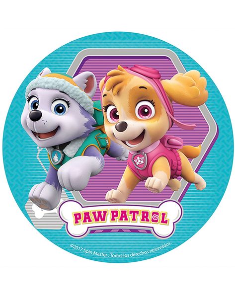 Paw Patrol Skye Birthday, Sky Paw Patrol, Imprimibles Paw Patrol, Paw Patrol Birthday Theme, Psi Patrol, Everest Paw Patrol, Paw Patrol Girl, Skye Paw, Paw Patrol Characters