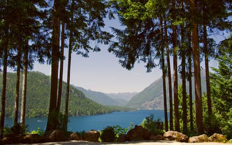 Lake Cushman Washington, Temperate Rainforest, Hiking Spots, Olympic National Park, Swimming Holes, City Trip, Camping And Hiking, The Crazy, Beautiful Places To Visit