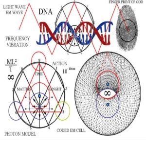 Cosmic Web, Secret Energy, Sacred Geometry Symbols, Light Wave, Ancient Knowledge, Quantum Physics, Free Energy, Worlds Of Fun, Sacred Geometry