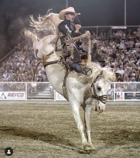 Bronc Rider, Art