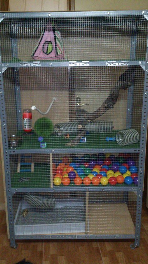 Well look at that...a cage made out of a inexpensive metal shelving unit and hardware cloth! Diy Rat Cage, Ferret Diy, Rattus Rattus, Rat Cage Accessories, Hedgehog Cage, Sugar Glider Cage, Chinchilla Cage, Ferret Cage, Rat Toys