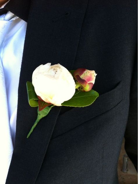 White peony buttonhole Peony Buttonhole, Groom Idea, Pink Peonies Wedding, Wedding Buttonholes, Peonies Wedding, Button Holes Wedding, Secret Wedding, White Peony, Peony Wedding