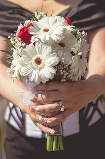 Matrimonios White Gerbera Daisy, Gerbera Wedding, Gerbera Daisy Bouquet, Gerbera Bouquet, White Gerbera, Daisy Bouquet, Hand Bouquet, White Wedding Flowers, Boutonniere Wedding