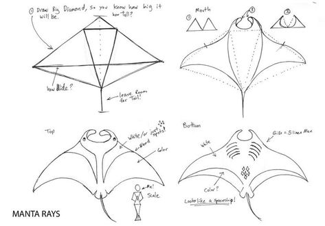 Manta Ray Template, How To Draw Manta Ray, Manta Ray Painting Acrylic, Manta Ray Design, Manta Ray Drawing Sketch, How To Draw A Stingray, Sting Ray Drawings, Mantaray Drawing, Kite Ideas