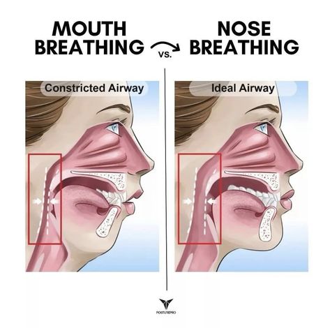 Alternate Nostril Breathing, Breath Of Fire, Belly Breathing, Human Remains, Nasal Passages, Breathing Exercises, Skeletal, Braces, Gym Life