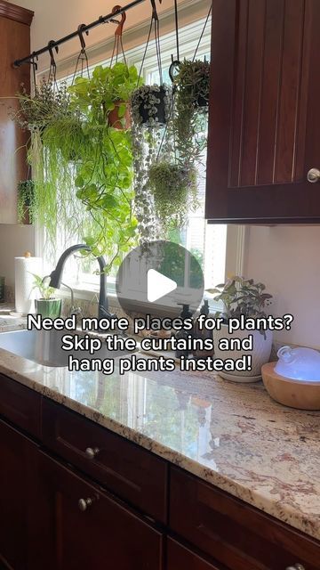 Plant Hanging From Curtain Rod, Plant Curtain Rod, Kitchen Counter Plants, Kitchen Window Plants Hanging, Plants Hanging In Kitchen, Over The Sink Plant Hanger, Hanging Plants From Curtain Rod, Best Plants For Kitchen Window, Plant Curtain Window