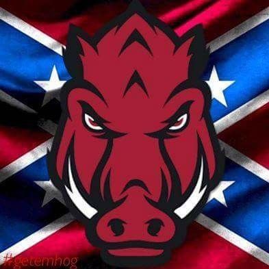 Pig Signs, Flag Quotes, Ar Razorbacks, Razorback Football, Wild Hogs, Arkansas Razorbacks Football, Woo Pig Sooie, Souls Art, Football Artwork