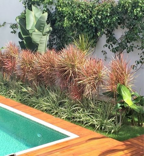 Tropical Garden Design, Front Garden Landscape, Tropical Backyard, Courtyard Gardens Design, Courtyard Design, Garden Design Layout, Gravel Garden, Patio Plants, Garden Oasis