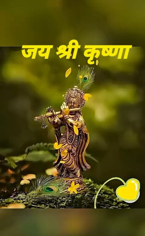 Jay Shree Krishna Image, Jay Shree Krishna Good Morning, Krishna Good Morning, Jay Shree Krishna, Sree Krishna, Jai Shri Krishna, Dussehra Images, Good Morning Clips, Inspirational Good Morning Messages