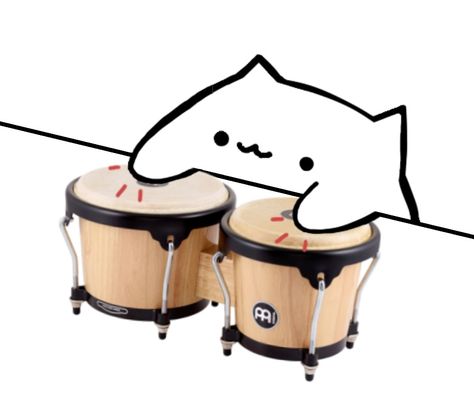 Cat Playing Drums, Playing Drums, Cat Playing, Dog Person, Drums, Snoopy, Memes, Dogs, Animals