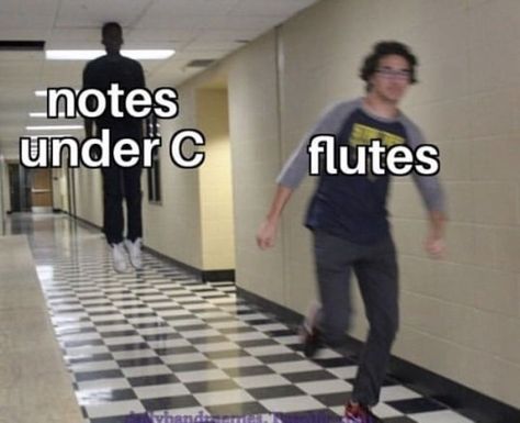 Flute Jokes, Flute Memes, Flute Notes, Marching Band Jokes, Marching Band Memes, Band Problems, Musician Humor, Marching Band Humor, Band Jokes