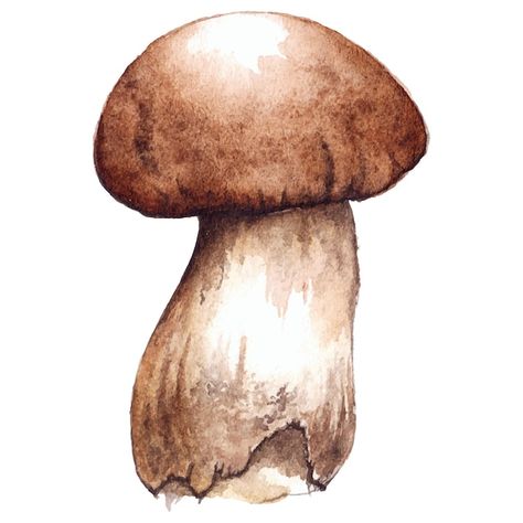 Mushroom Watercolor, Watercolor Mushroom, Porcini Mushroom, Mushroom Drawing, Porcini Mushrooms, Mushroom Art, Chiaroscuro, Fruit And Veg, Drawing Inspiration