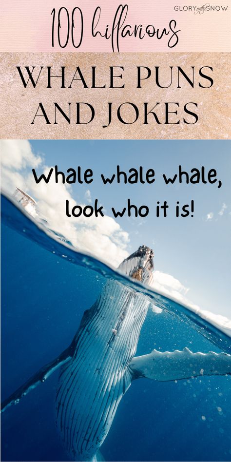 Whale Puns Funny, Jokes For School, School Instagram Captions, Whale Puns, Wolf Puns, Whale Jokes, Funny Whale, Corny Puns, Birthday Card Puns