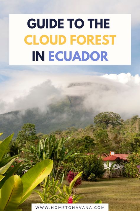 Mindo Ecuador, South America Travel Destinations, Latin America Travel, Backpacking South America, Forest Ecosystem, Ecuador Travel, Cloud Forest, The Amazon Rainforest, Central America Travel