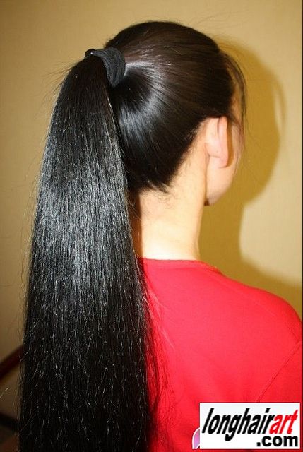 very long thick hair | Recent Photos The Commons Getty Collection Galleries World Map App ... Chinese Long Hair, Summer Haircuts For Long Hair, Asian Long Hair, V Shape Hair, Hair Color Idea, Summer Hairstyles For Short Hair, Huge Hair, Long Hair Ponytail, Long Indian Hair