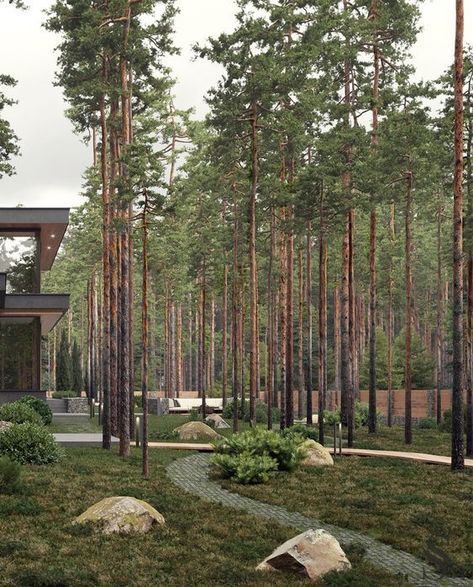 Forest House Plans, Modern Style House Plans, Forest Garden, Bungalow House Design, Modern Architecture House, Forest House, Forest Landscape, Pine Forest, City House