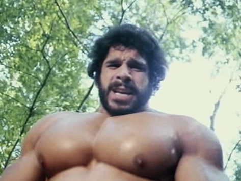 Lou Ferrigno, Buff Guys, Action Pose Reference, Scruffy Men, Beefy Men, Anime Guys Shirtless, Arnold Schwarzenegger, Muscular Men