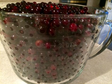 Chokecherry Syrup, Survival Food Kits, Canning Water, Buttermilk Syrup, Preserving Vegetables, Grape Recipes, Canning Jam, Jam And Jelly, Christmas Baskets