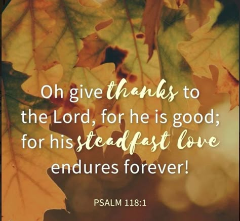 Thankful Scripture Quotes, Thankful Scripture, Thanksgiving Quotes Christian, Thanksgiving Scripture, Thanksgiving Bible Verses, Spirit Food, Inspiring Pics, Morning Gifs, Faith Verses