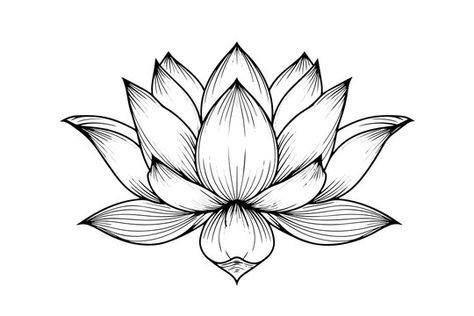 Lotus Flower With Eye Tattoo, Lotus Flower Tattoo Designs For Women, Lotus Flower Tattoo Stencil, Connect Tattoo, Lotus Tat, Anna Tattoo, Lotus Outline, Simple Lotus Flower Tattoo, Lotus Flower Images