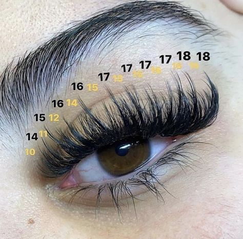 Pink Hybrid Lashes, Hybrid Lash Extensions Mapping, Lash Ideas, Lash Maps, Lash Map, Lash Mapping, Best Lash Extensions, Lash Technician, Lashes Fake Eyelashes