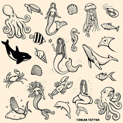 sea life flash available now yay 🧜‍♀️ 🐋 🐚 🦞 🐠🪼🦐🦀🐙 there’s still so many sea life creatures I want to draw 😭 I want to draw seals, sharks, more more more jellyfish. what else should I draw if I do another sea life flash? message me to enquire about your tattoo idea! I have space next week to tattoo :) all designs available for handpoke all my flash is repeatable #sealifeflash #oceanflash #mermaidtattoo #whaletattoo #octopustattoo #handpokedtattoo #essextattoo #hertfordshiretattoo #suffolkta... Fish Tattoo Flash Sheet, Sea Life Tattoo, Sea Creature Tattoo, Seal Drawing, Sea Life Tattoos, Seal Tattoo, Sea Life Creatures, Whale Tattoos, Tattoo Flash Sheet